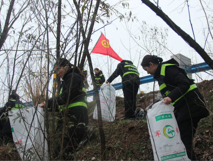 QQ图片20190308141901.png